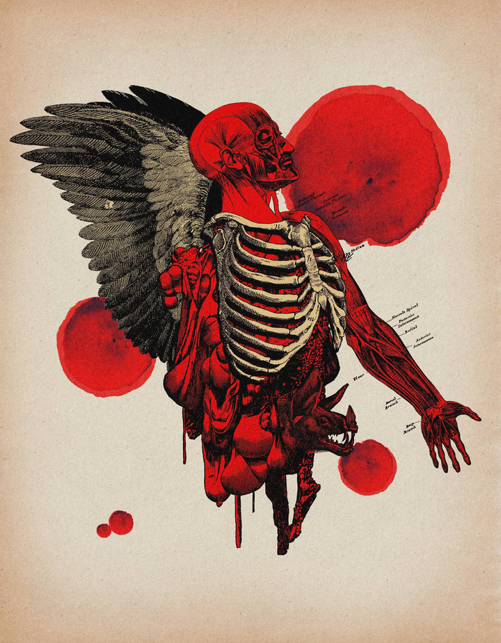 Andrew Blucha Art