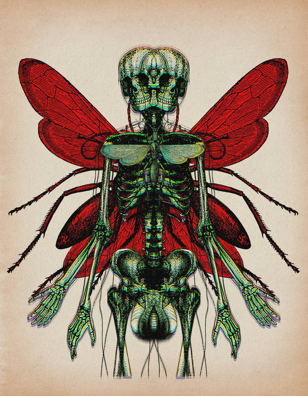 Andrew Blucha Art