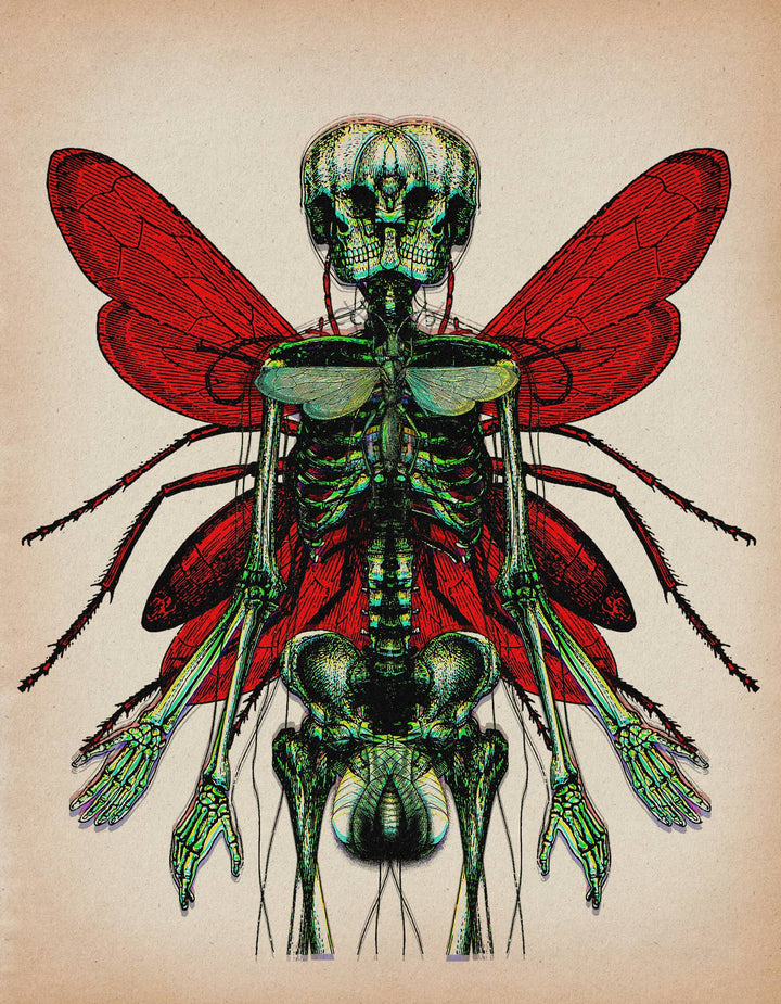 Andrew Blucha Art