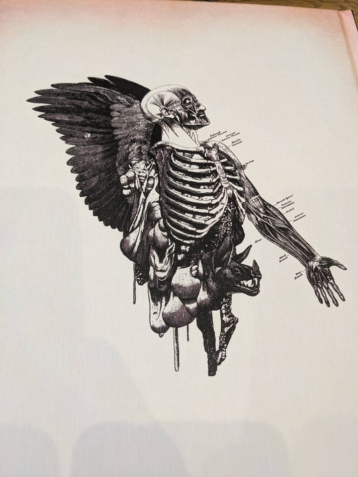 Andrew Blucha Art