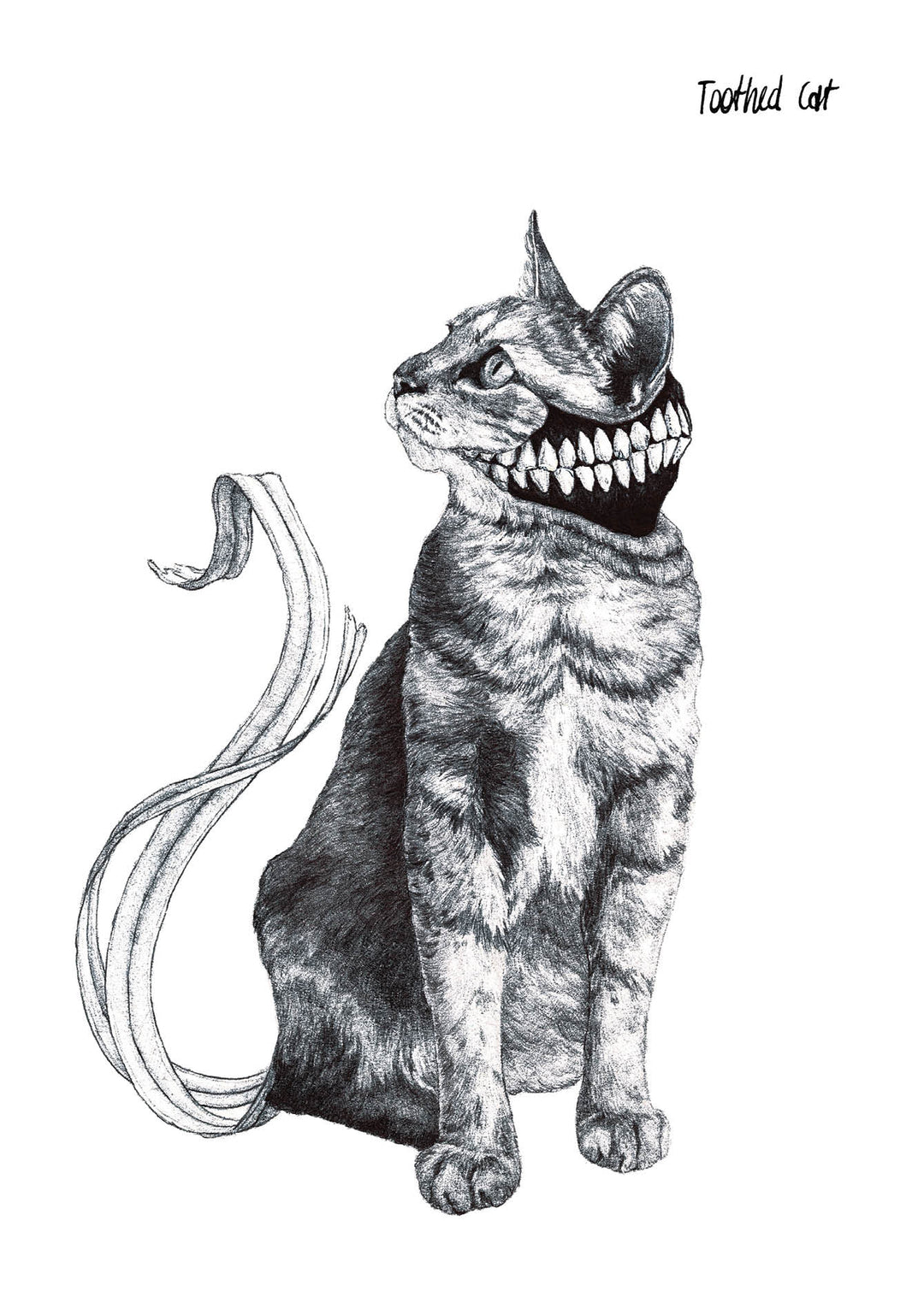 My Hands Remember The Dark - Deluxe Edition - 96 exclusive pages