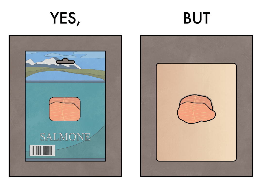 Yes, But Vol. 1 & 2 — Deluxe Edition Box Set (499 copies)
