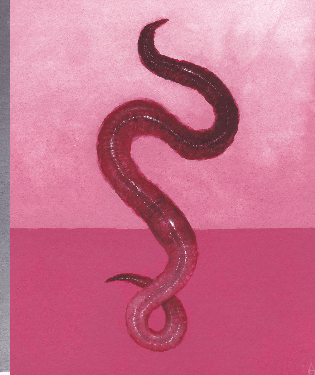 Dehiscence
