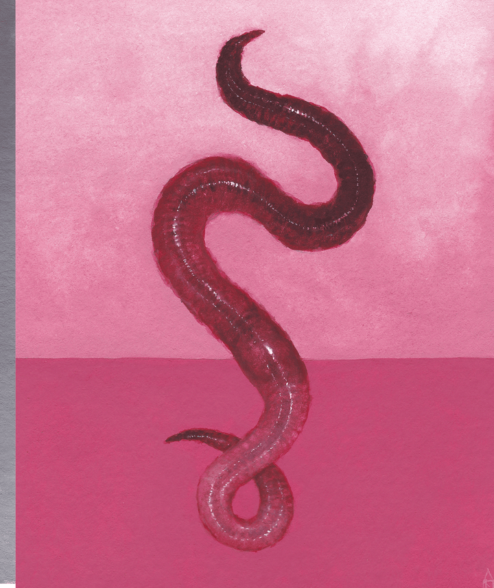 Dehiscence