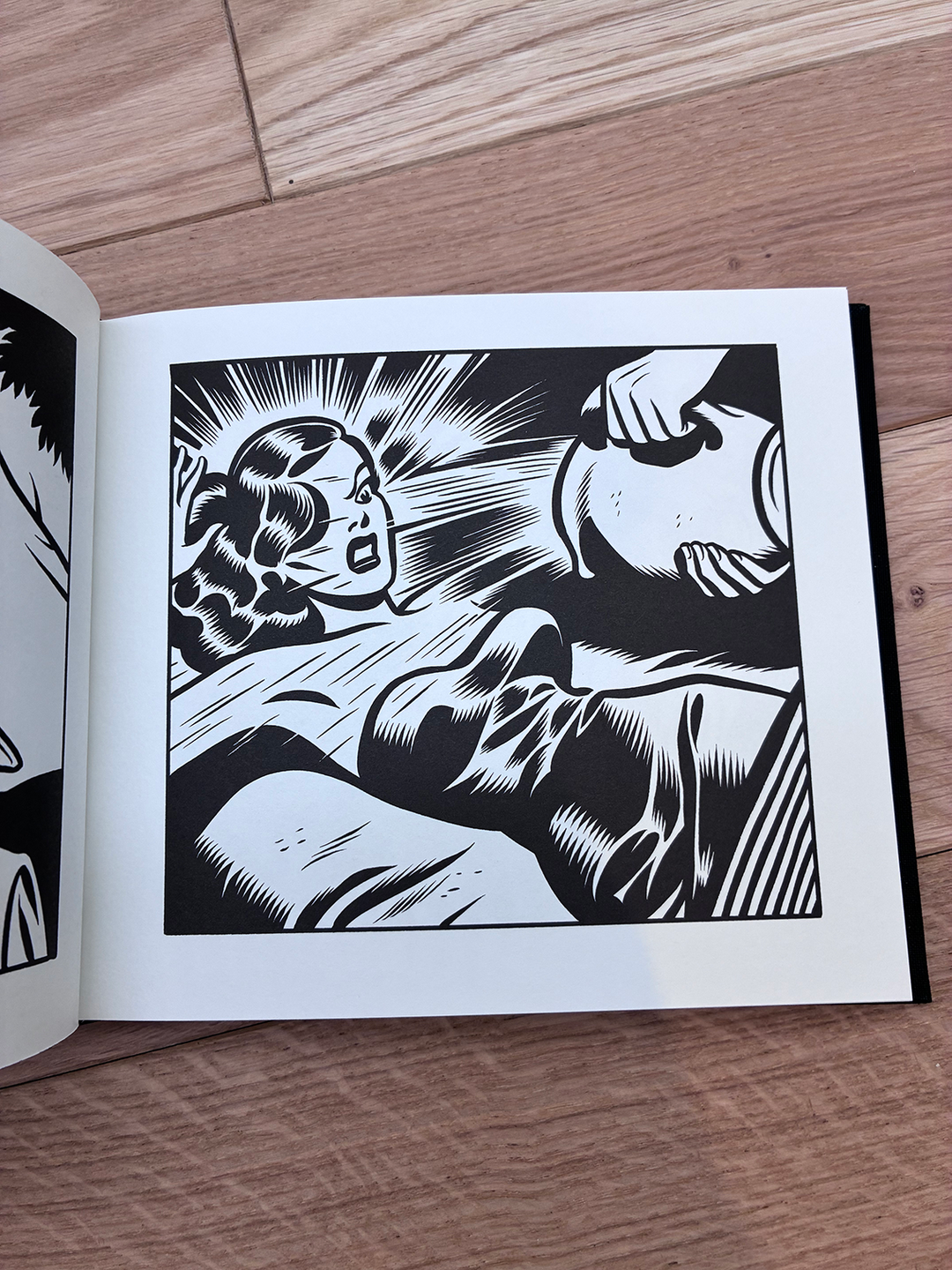 Love Nest By Charles Burns