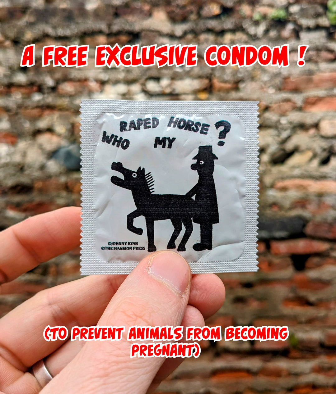 WHO R*PED MY HORSE 199 COPIES LIMITED EDITION