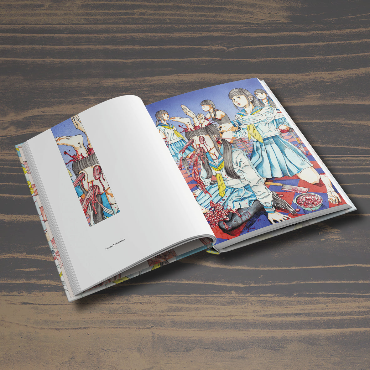 Shintaro Kago : Artbook Vol. 2 ( second edition )